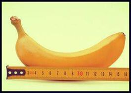 Allongement de la dignité masculine