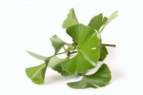 Ginkgo biloba pour l'agrandissement du pénis